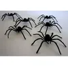 Image de Araignées en plastique - 5 cm - Noir - Décoration de fête - Halloween