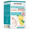 Image de Formule délectrolytes Eric Favre - Hydrafull Electrolytes - Citron Boite de 15
