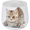 Image de Bougie Anti-odeurs "chat" 8cm Blanc