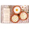 Image de Kit Bougies Graines Creatives Marguerite Multicolor Terre Cuite