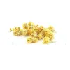 Image de Fleurs Séchées Décoratives Immortelle 15 G