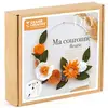 Image de Kit Diy Ma Couronne Fleurie