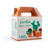 Image de Coffret En Laine Cardée Petits Cactus