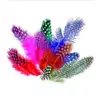 Image de Sachet 10g Plumes Pintade Col. Asst