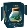 Image de Kit Terrarium Fimo 15 Cm Multicolor