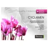 Image de Couette Biotex Cyclamen 240 X 220cm