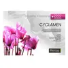 Image de Couette Biotex Cyclamen 260 X 240 Cm