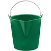 Image de Seau bec de 17L Vert