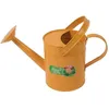 Image de Arrosoir métal enfant 16L Spear & Jackson
