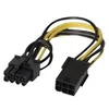 Image de generic - adaptateur secteur - Alimentation PCIe de 6 broches pour Alimentation PCIe de 8 broches - 10 cm