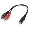 Image de Adaptateur Jack 3.5 mm vers 2 x RCAM - 0,20 m