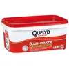 Image de Peinture sous-couche - QUELYD - 2.5 L - Blanc - Mat - Monocouche