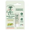 Image de Baume à Lèvres - Le Petit Olivier - Hydratant - Huile dOlive - Sans Paraben - 4g