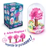 Image de So Magic Diy Coffret Secret Garden en occasion ou reconditionné