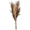 Image de Bouquet de pampas séchées Ori blanc ivoire H58cm - Atmosphera Créateur dintérieur