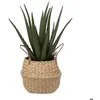 Image de Aloe vera artificiel pot roseau H40cm - Atmosphera Créateur dintérieur