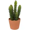 Image de Cactus Artificiel Ali Rose Terracotta H25cm - Atmosphera