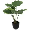 Image de Palmier Artificiel Pot Ciment H65cm - Atmosphera