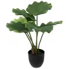 Image de Palmier artificiel pot ciment H65cm - Atmosphera Créateur dintérieur