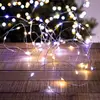 Image de Guirlande Lumineuse Extérieur Solaire 30m 300l Blanc Froid/chaud - Feeric Lights & Christmas