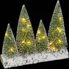 Image de Accessoire Village De Noël Sapons Blanc Chaud 20led À Piles - Feeric Lights & Christmas