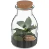 Image de Terrarium Bota Verre H19.5cm - Atmosphera