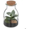 Image de Terrarium Bota verre H195cm - Atmosphera Créateur dintérieur