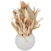 Image de Compo Fleurs Séchées Sea View Céramique H25cm - Atmosphera