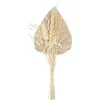 Image de Bouquet fleurs séchées Sea view H31cm - Atmosphera Créateur dintérieur