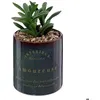 Image de Plante artificielle Bota noir H10cm - Atmosphera Créateur dintérieur
