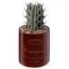 Image de Plante Artificielle Bota Marron H10cm - Atmosphera