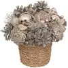 Image de Composition En Pot Rose H19cm - Atmosphera