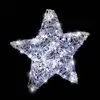 Image de Etoile lumineuse extérieure blanc froid h50cm 150 led + transfo XMAS