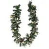 Image de Guirlande Nature Eucalyptus 2m - Feeric Lights & Christmas