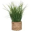 Image de Plante Artificielle En Pot En Jacinthe D’eau H70cm - Atmosphera