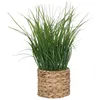 Image de Plante artificielle en pot en jacinthe d’eau H70cm - Atmosphera Créateur dintérieur