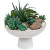Image de Composition plantes grasses artificielles H20cm blanc - Atmosphera Créateur dintérieur