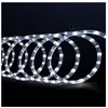 Image de Tube Lumineux Led Extérieur Techno 6m Blanc