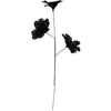 Image de Branche Plume Noir H65 - Atmosphera Créateur D'intérieur
