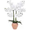 Image de Orchidée Artificielle Dena H65cm Rose Terracotta - Atmosphera