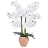 Image de Orchidée artificielle Dena H65cm rose terracotta - Atmosphera Créateur dintérieur