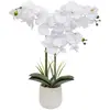 Image de Orchidée Artificielle Riva H60cm Blanc - Atmosphera