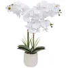 Image de Orchidée artificielle Riva H60cm blanc - Atmosphera Créateur dintérieur