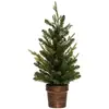 Image de Sapin En Pot Helsinki 70cm - Feeric Lights & Christmas