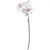 Image de Branche Magnolia Rose H88cm - Atmosphera