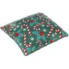 Image de Coussin Houx 40x40cm - Atmosphera