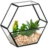 Image de Terrarium Artificiel Pia Noir H20cm - Atmosphera