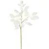 Image de Branche Ficus Blanc 93cm - Atmosphera Créateur D'intérieur