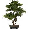 Image de Bonsaï Artificiel Polin Pot En Céramique H86cm - Atmosphera