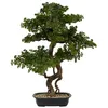 Image de Bonsaï artificiel Polin pot en céramique H86cm - Atmosphera Créateur dintérieur
